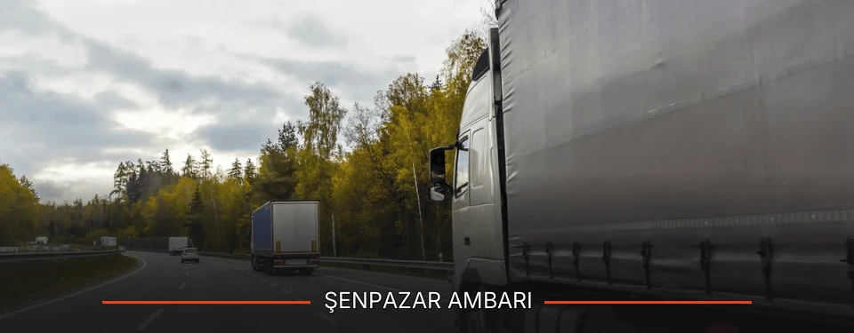 Şenpazar Ambarı