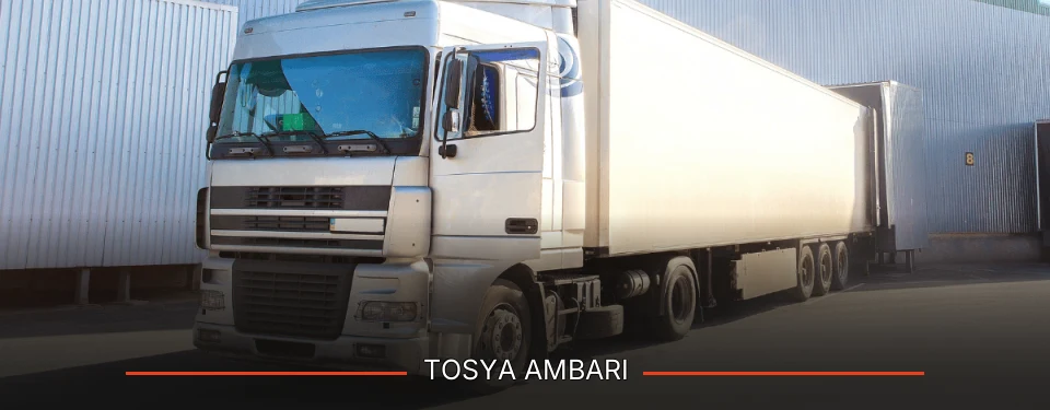 Tosya Ambarı